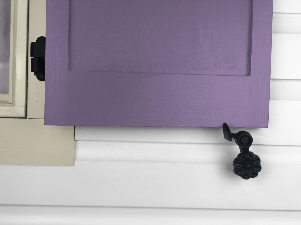 088252 flower with lag shutter dog on shutter