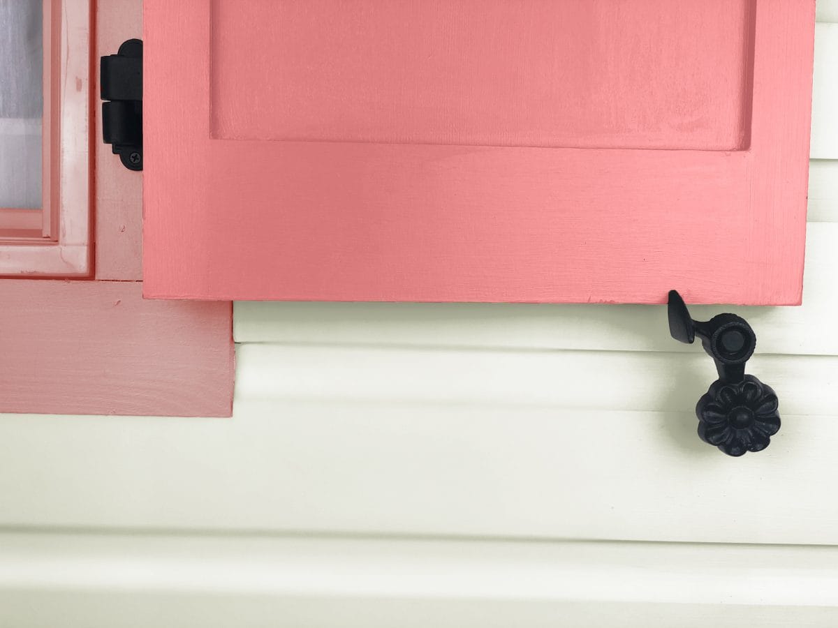 088252 Flower with lag shutter dog on shutter